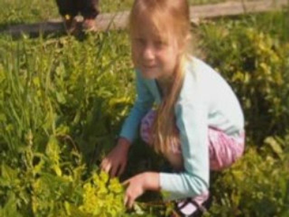 Ete juillet 2008