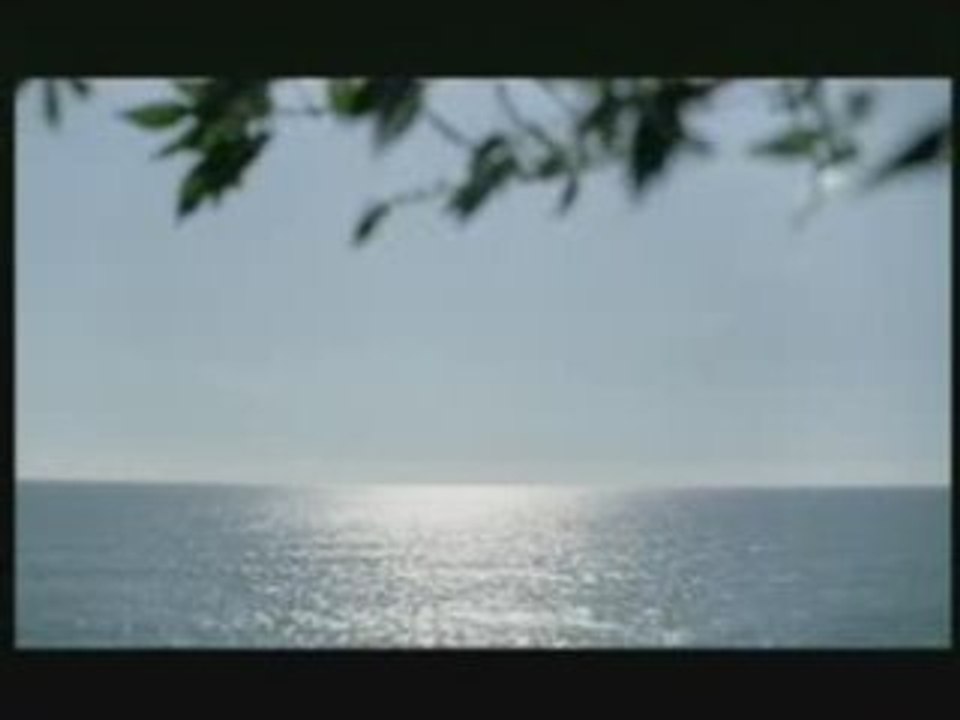 Film_violences_conjuguales_2007