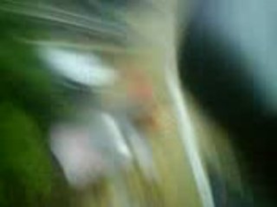 MOV00211