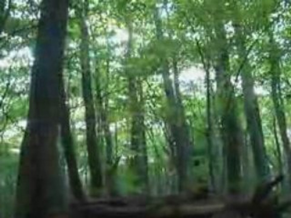 Ride au potager