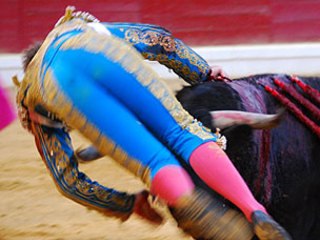 Canelo y Alejandro Esplá, heridos en Arnedo