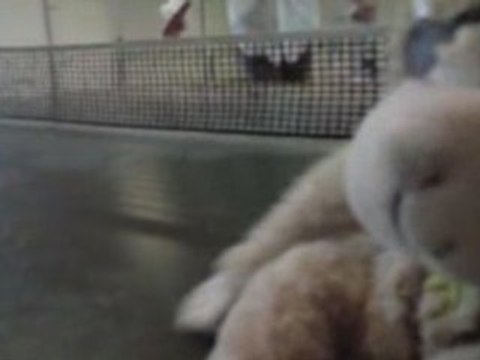 Les aventures de popo : Episode 11- sony erricson K850i