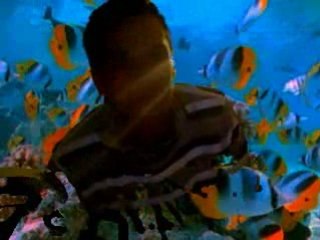 LOIC&FRED 4 AQUARIUM