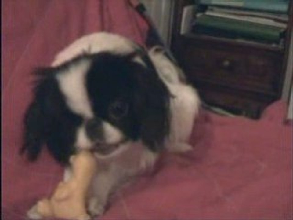 .dior et chamena jouent