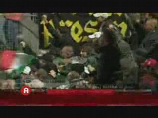 Las viboras en el desierto