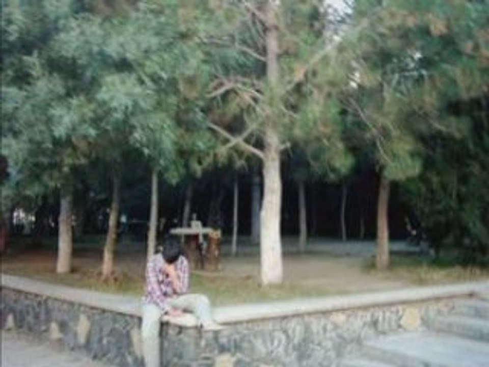 Niğde Bor