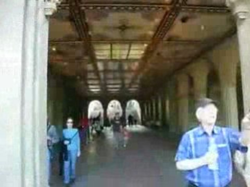 Heart of Central Park - Conservatory Pond to Sheep Meadow