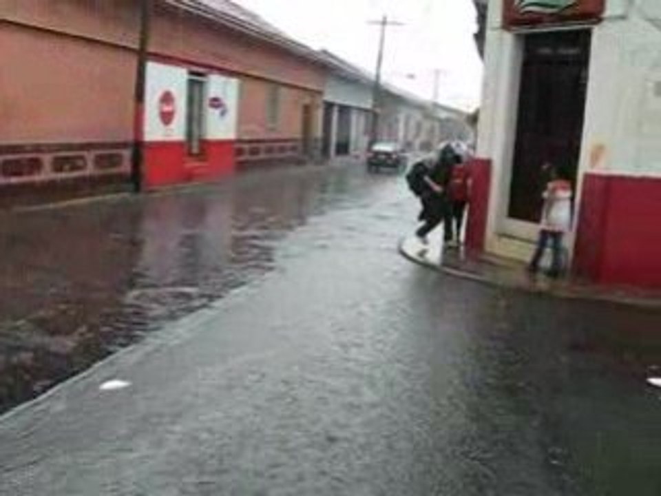 Pluie leon