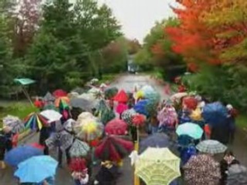 Les clignotants mireille racine