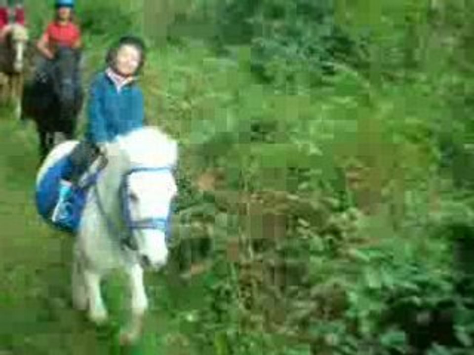 au galop...