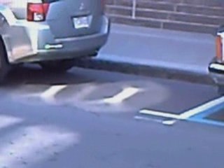 Indigo: The Deep Blue Hue