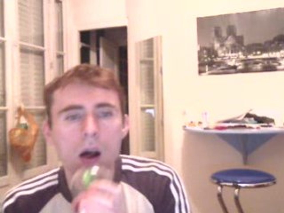 Wiwi égratigne "Fallait pas écraser la queue du chat"