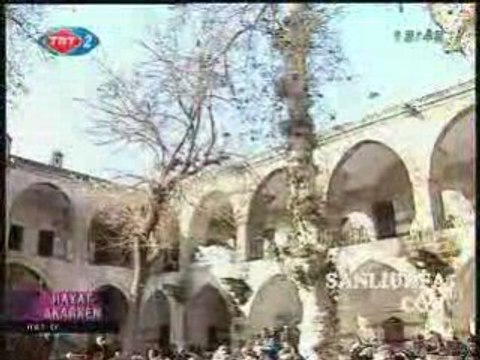 Trt urfa sanliurfa.com
