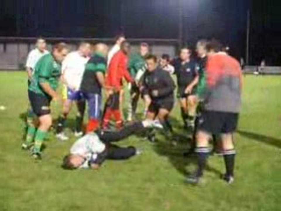 chiens poubelle rcch rugby