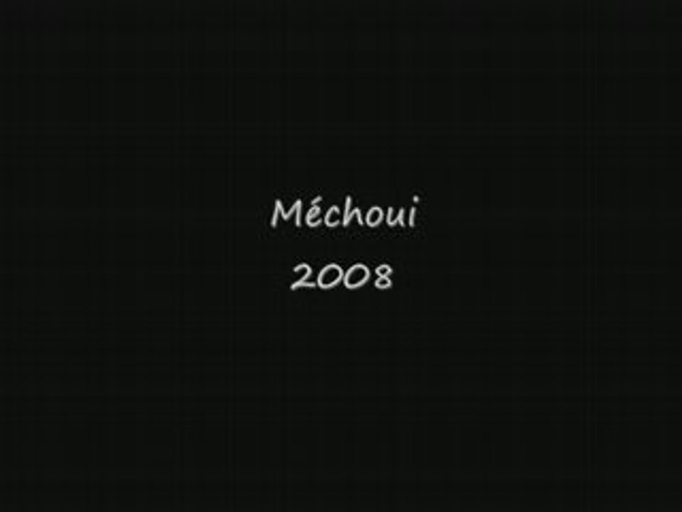 Video2008