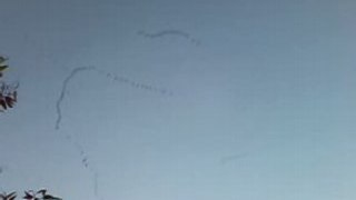 birds on tell aviv sky