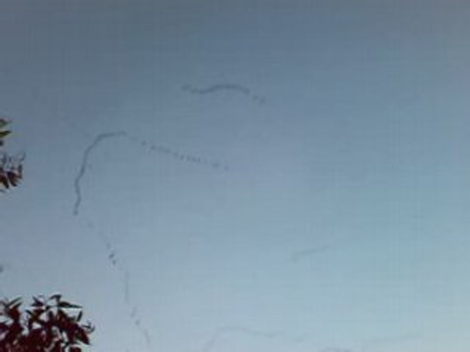 birds on tell aviv sky