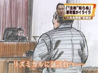 八百長疑惑報道訴訟 板井・朝青龍が証言