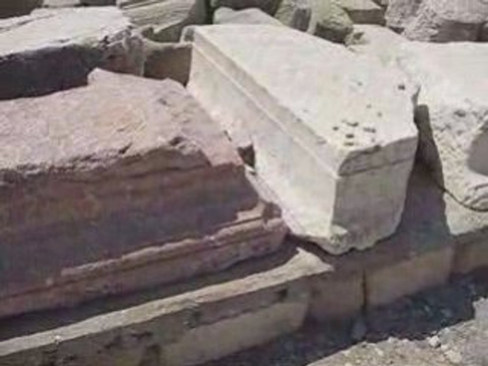 APHRODITE'S REBIRTH