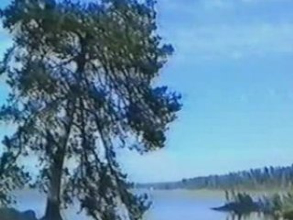 Небо славян Алиса