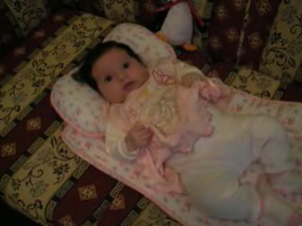 DAMLA