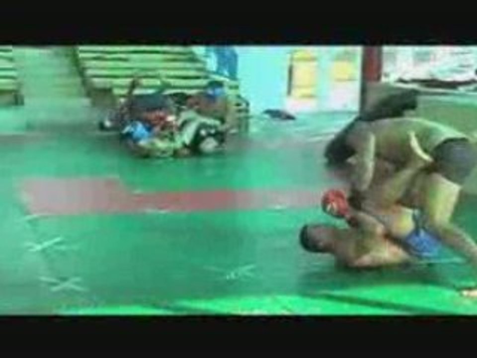 Fedor Emelianenko  The Fighting System of the King of MMA