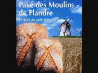 Estaminet et vues de Flandre.