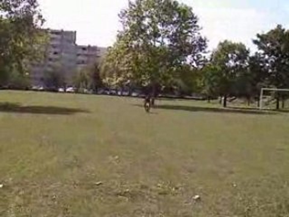 Comment Faire Une Crêpe En Dirt Bike 110 ?