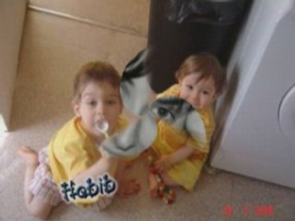 nous les kangoos 2007