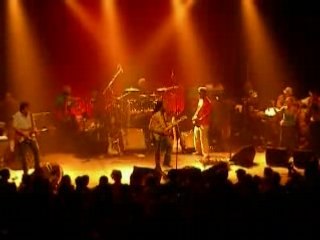 Ziggy Marley - Let Jah Will Be Done (Live in Paris 2006)