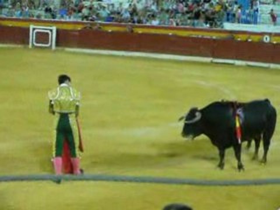 corrida benidorm  aout 2008