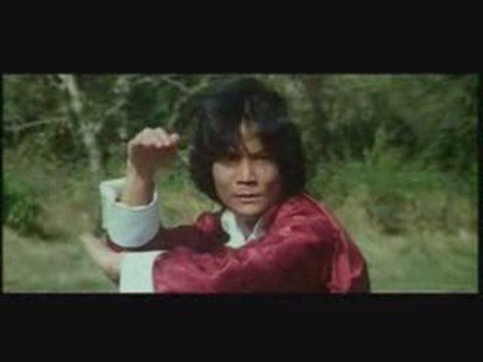 Style serpent kung fu:meilleur combat!