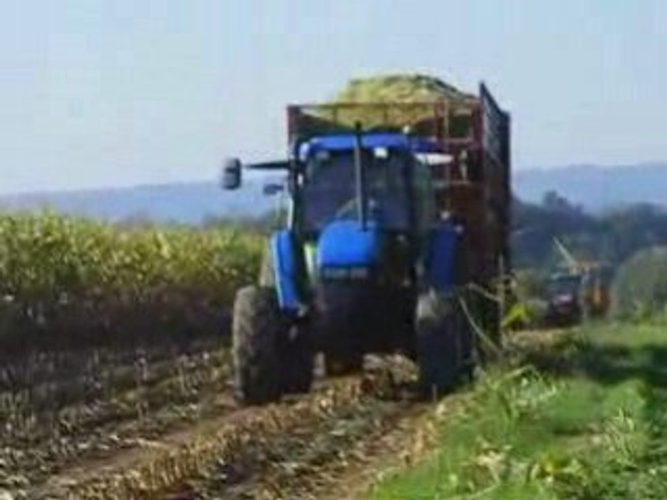 Ensilage 2008 chez tante