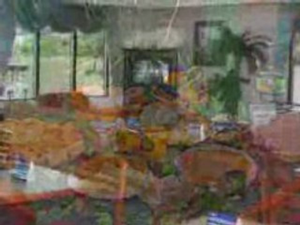 Hampton Inn Orangeburg Video Tour