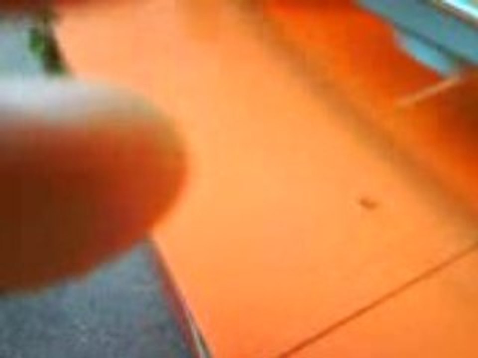 MOV01188