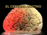 El cerebro adictivo