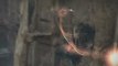 Prince Of Persia Next Gen Walkthrough (Ps3/Xbox360/Pc)