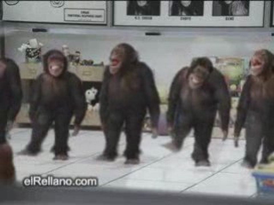 Dance bretonne