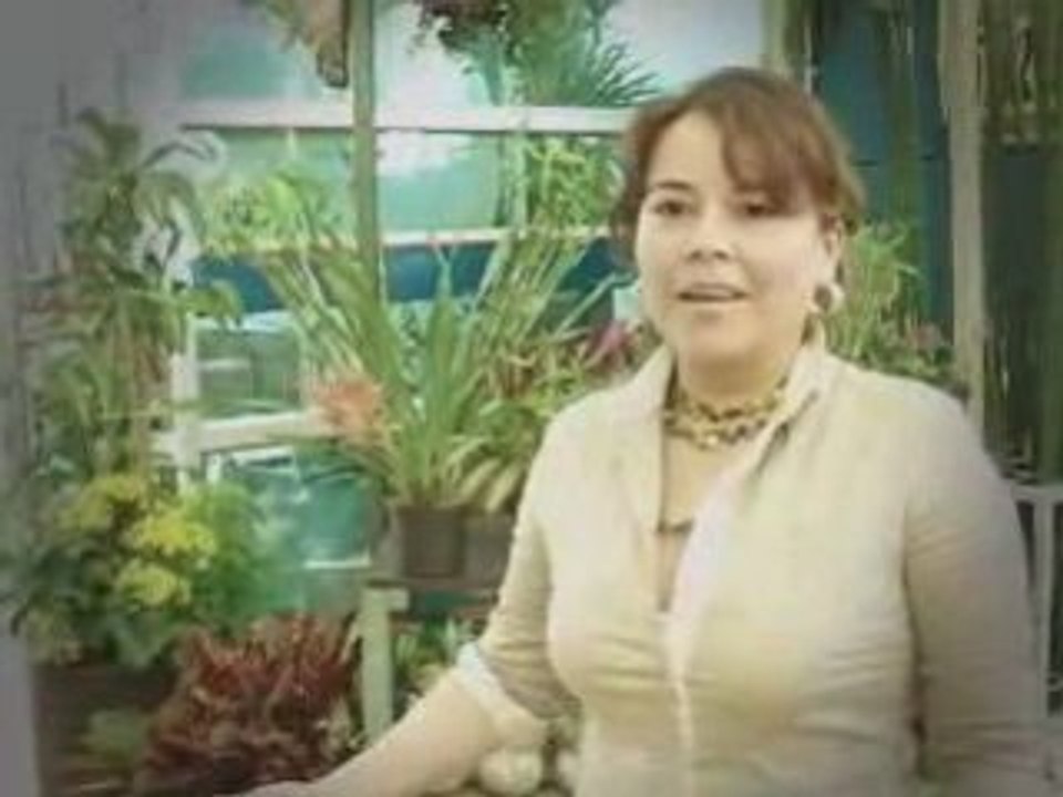 Comercial Home Center - Testimonios