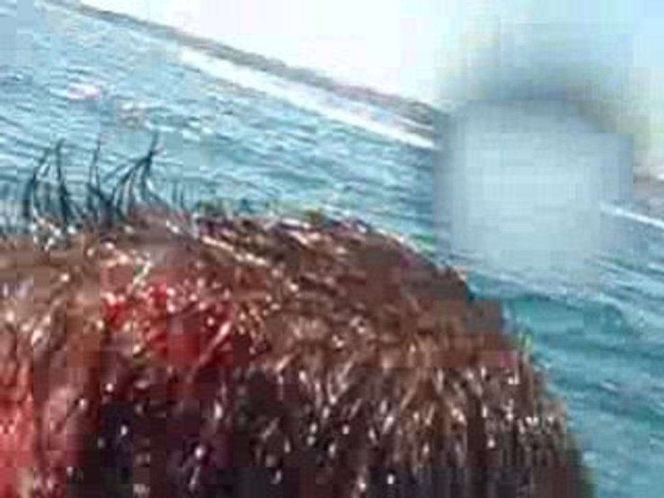 regis et gaetan Chute a 100kmh en jet ski des  vrais oufs