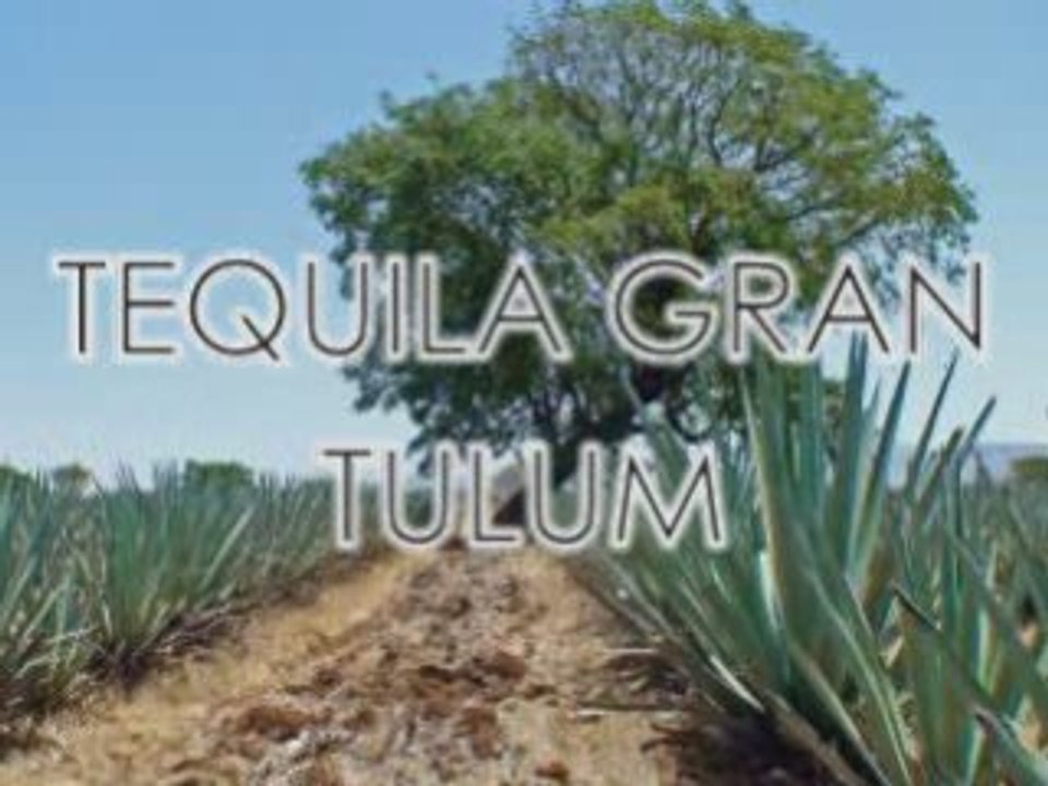 Brands of (Tequila)