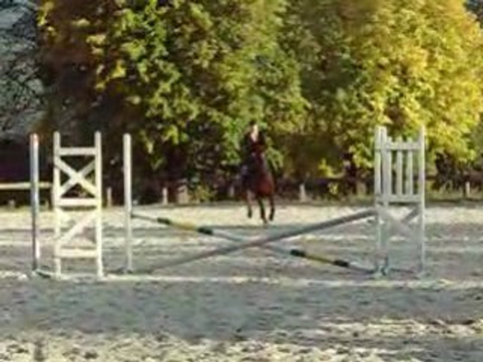 Reprise saut