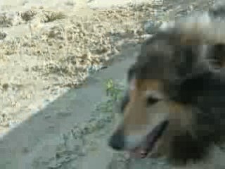 oye plage Robin Umi Arwen  1