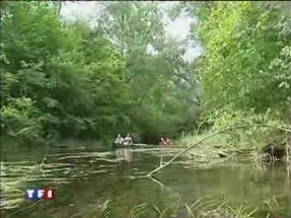 Le ried alsaciens
