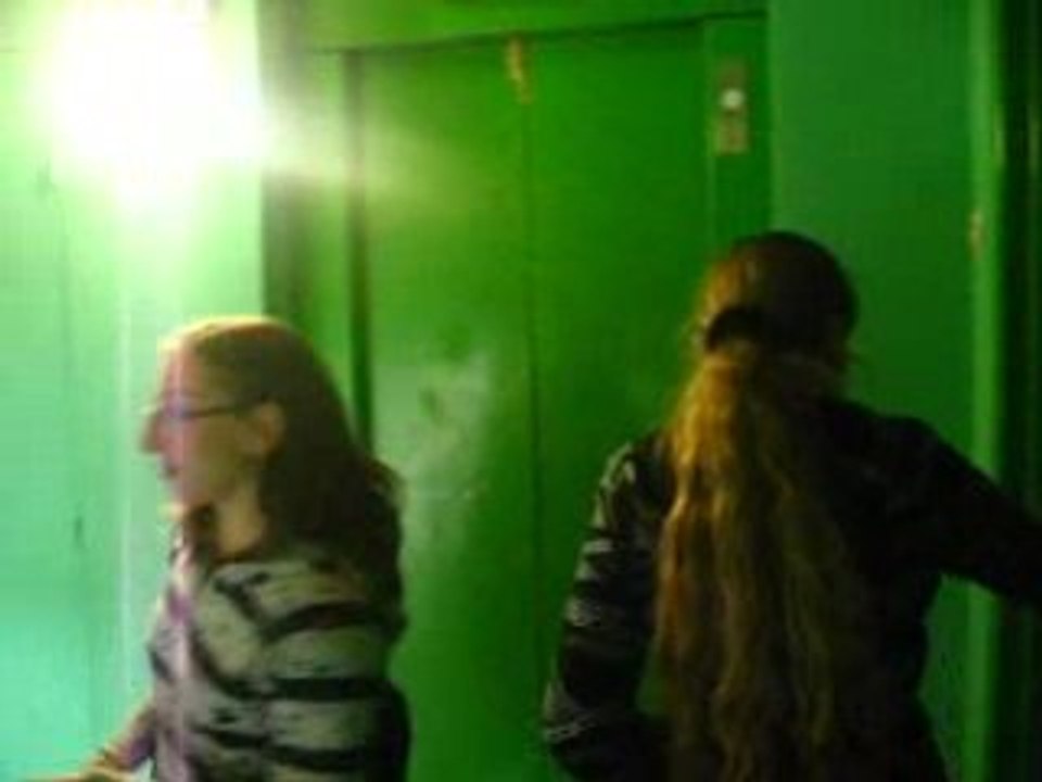 alison et hamstaro