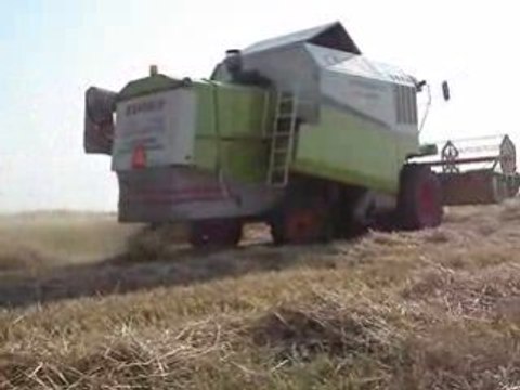 Claas Medıon 310