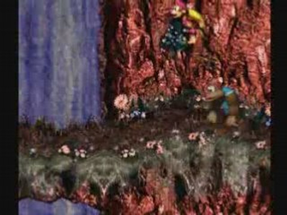 Donkey Kong Country 3 Walkthrough 9