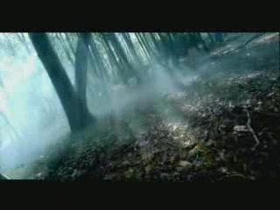 Najoua Belyzel - Gabriel