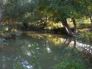 Le reflet des promeneurs au bord de l'arc SDC11054