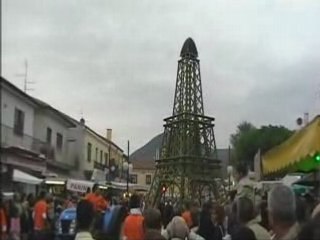 vo' 2008 ( 2° ) carri dell'uva